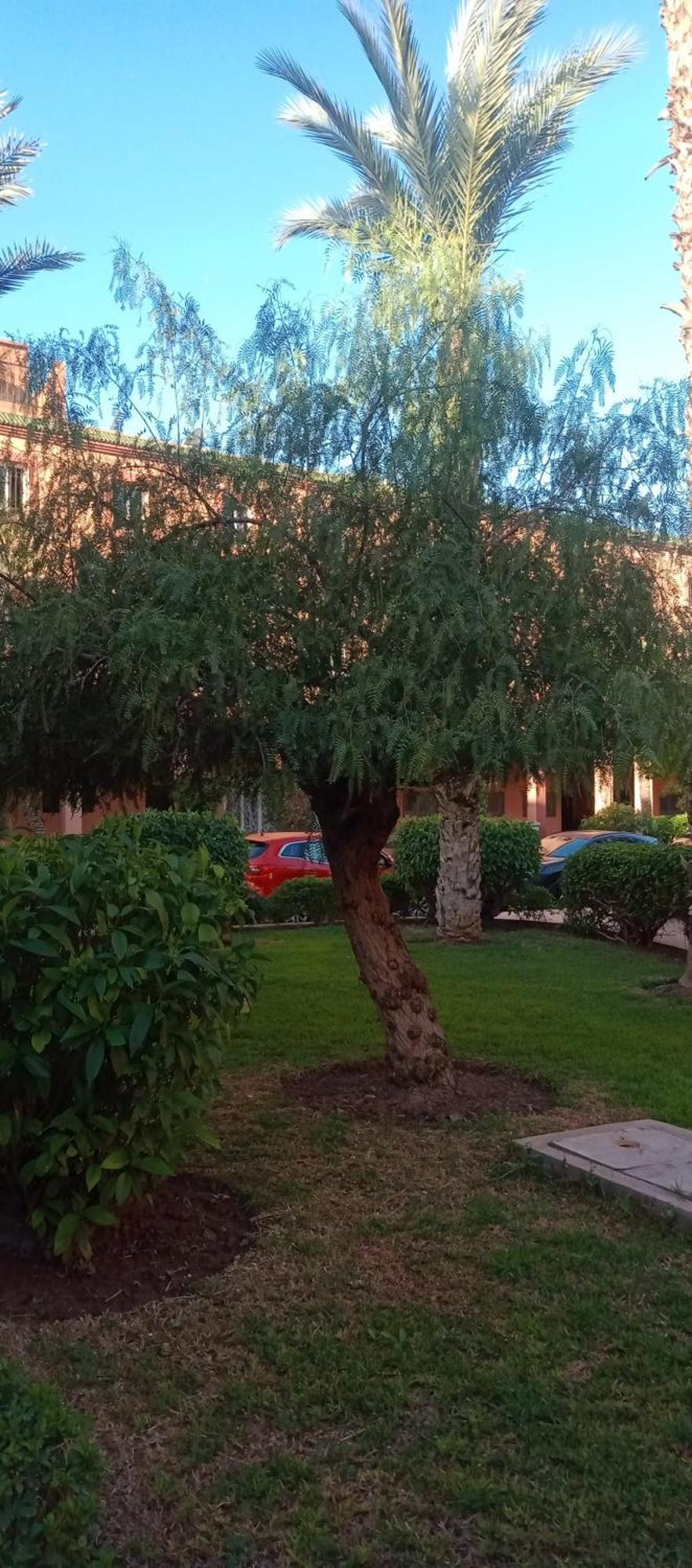 Riad Nour Resorts-Riad Nour Travel Marrakesh Exterior foto
